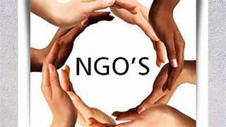 Best NGO for Social Impact 2024