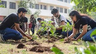 Tree Plantation Drives